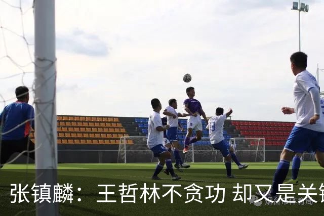 张镇麟：王哲林不贪功 却又是关键时刻能站出来的人 队长当之无愧