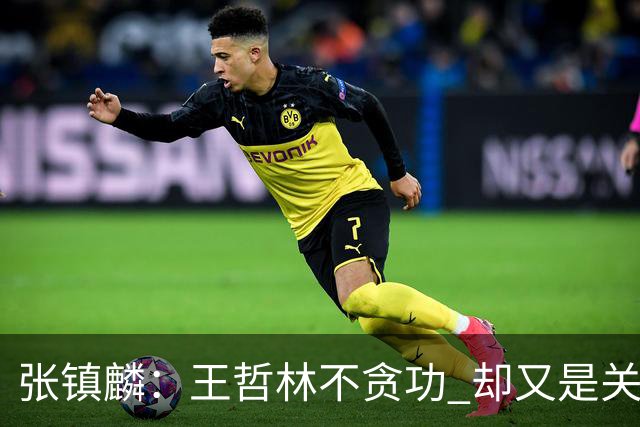 张镇麟：王哲林不贪功 却又是关键时刻能站出来的人 队长当之无愧