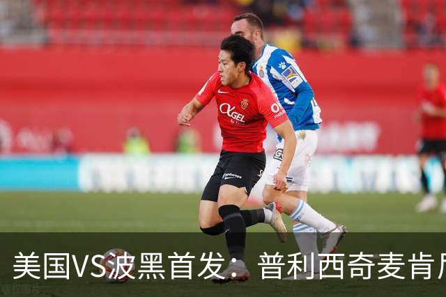 美国VS波黑首发：普利西奇麦肯尼先发 哲科出战