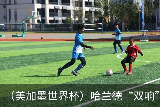 （美加墨世界杯）哈兰德“双响”建功 挪威淘汰巴西首次跻身八强